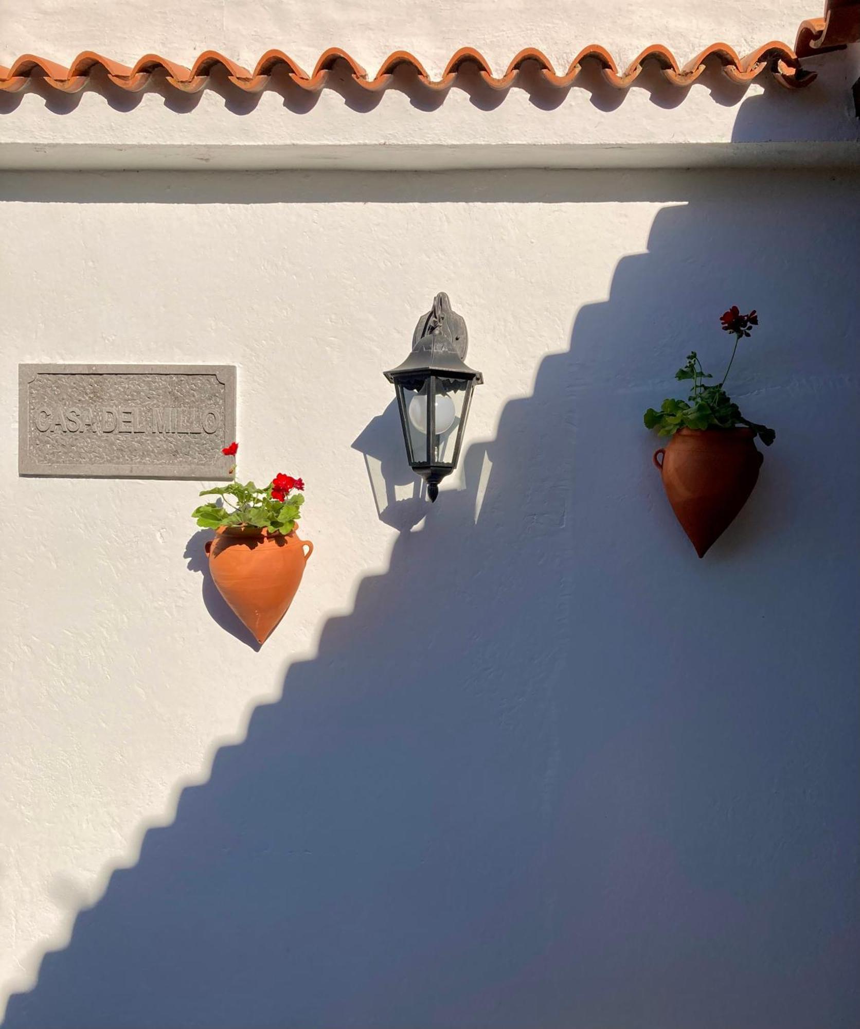 Bella Doramas Casas Rurales Panchita & Millo Moya  Exteriér fotografie
