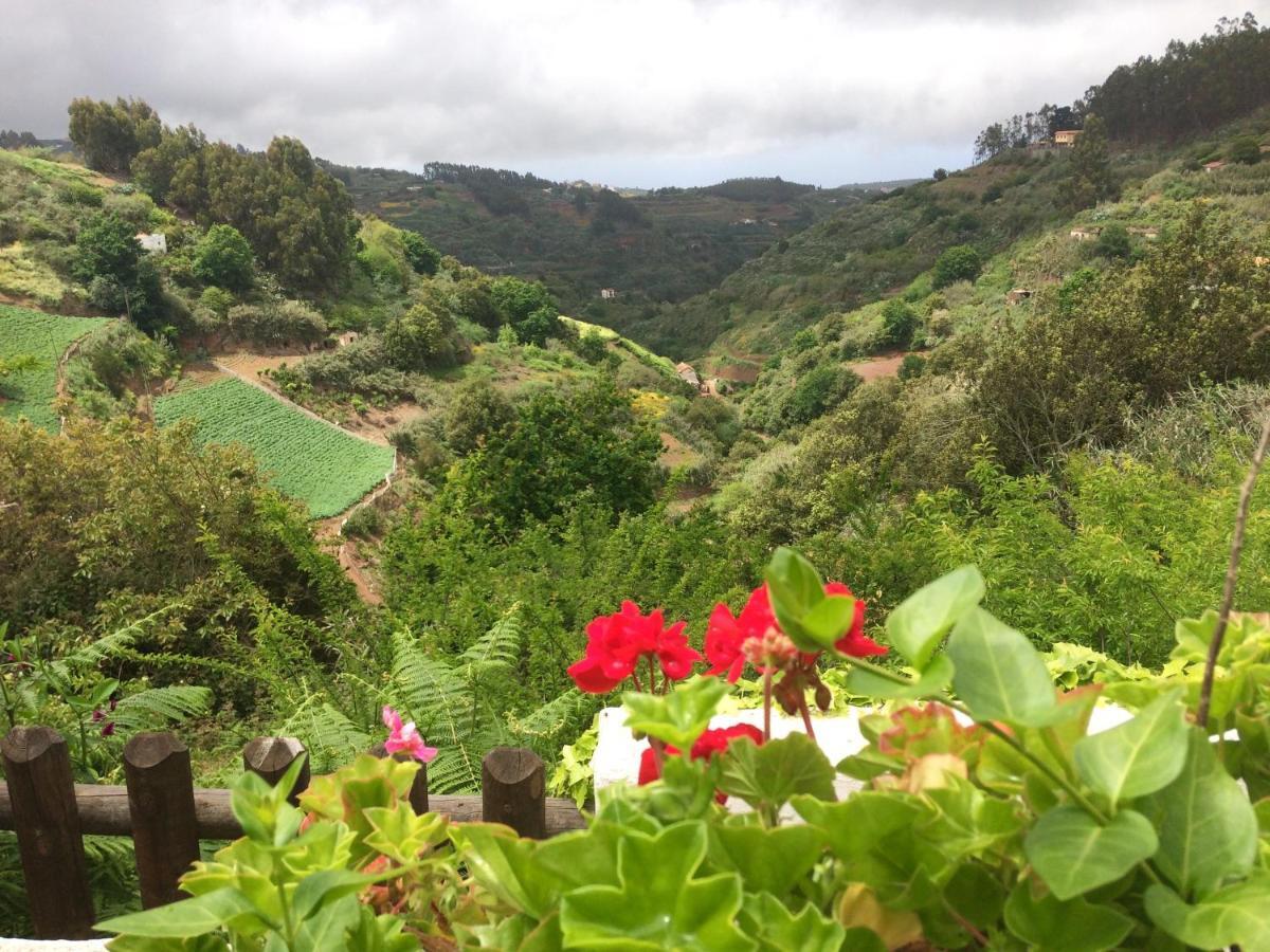Bella Doramas Casas Rurales Panchita & Millo Moya  Exteriér fotografie
